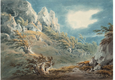 the-remains-of-burnam-wood-on-the-mountain-of-burnam-near-dunkeld-perthshire-1801