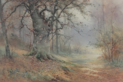 woodland-mists