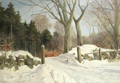 a-snowy-wooded-landscape-rudeskov-denmark