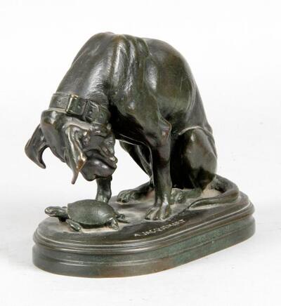 chien-a-la-tortue