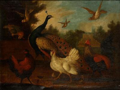 a-study-of-a-peacock-chickens-and-other-foul-in-a-landscape