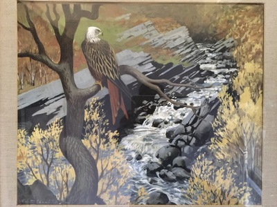 scene-of-an-eagle-in-a-tree-by-a-river