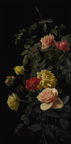 still-life-with-roses