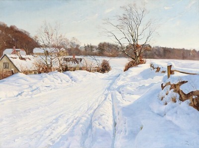 snowcovered-landscape-near-sollerol-zealand
