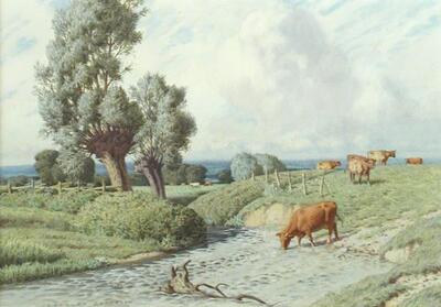 the-heat-of-the-day-and-the-shady-stream