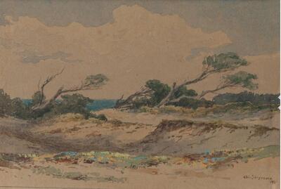 the-dunes