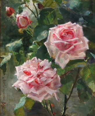 pink-roses