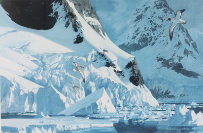 cape-renard
