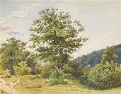landschaft-mit-alter-eiche