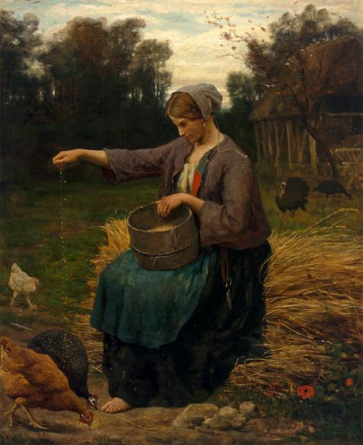 jeune-femme-nourrissant-ses-volailles