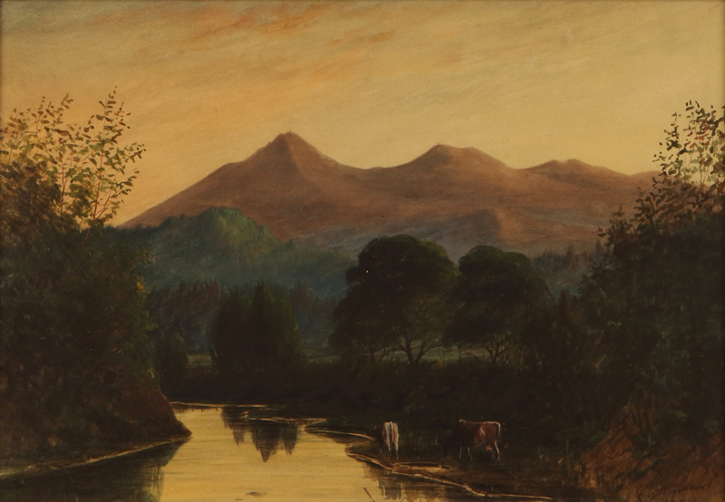 mt-tamalpais-cows-watering-in-a-mountain-landscape