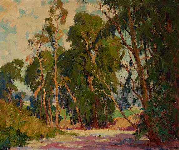 eucalypti