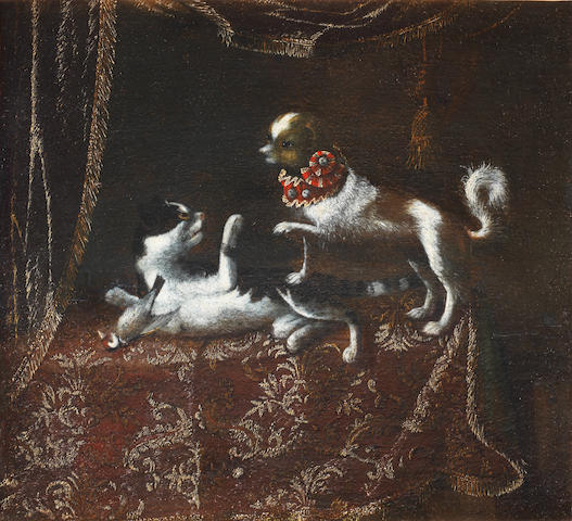 a-dog-and-a-cat-on-a-draped-table-top