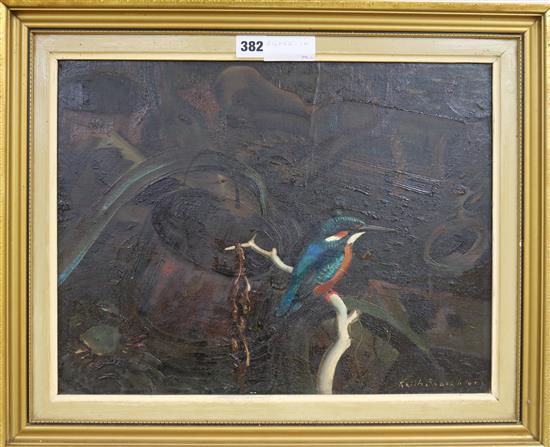 study-of-a-kingfisher