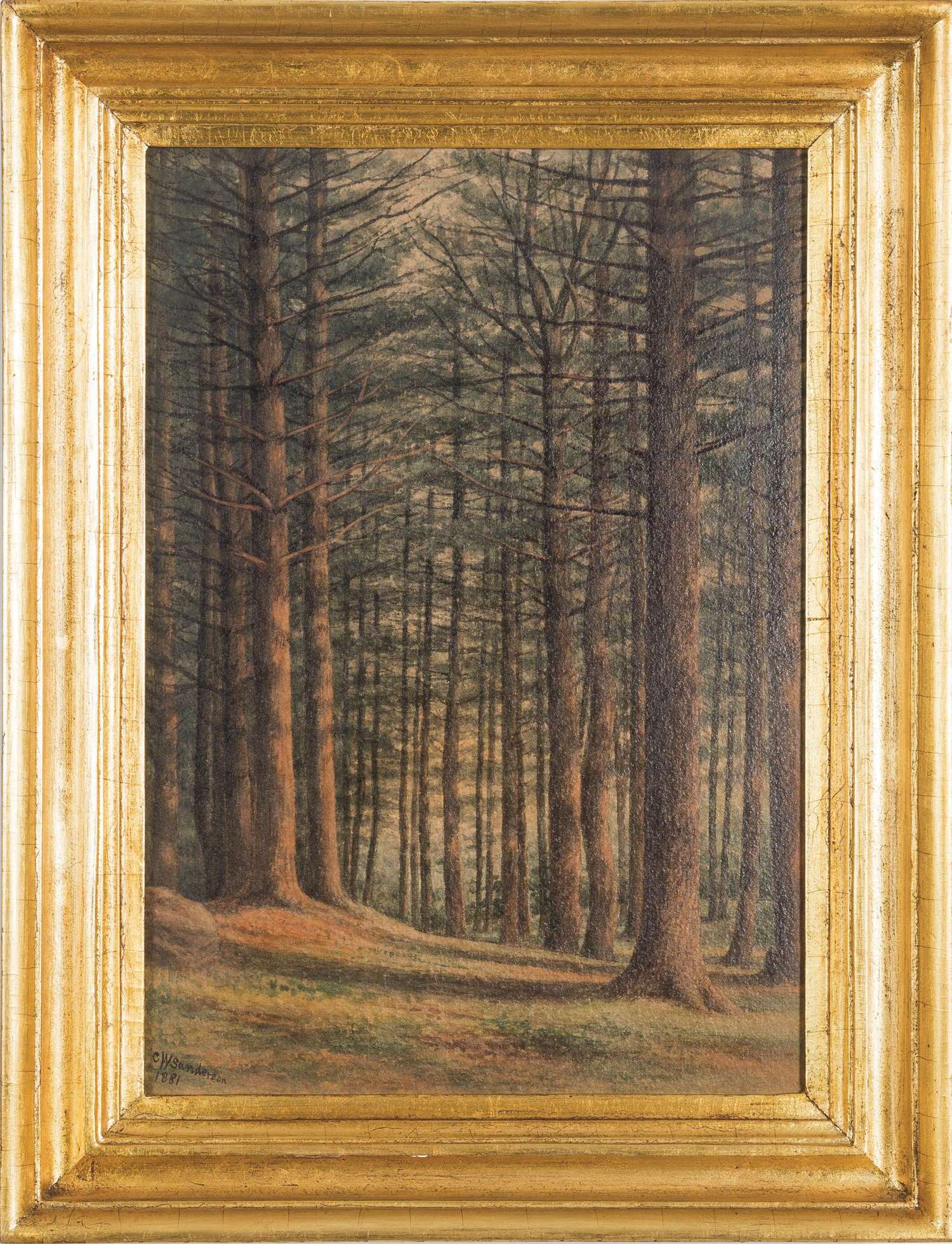tall-pines