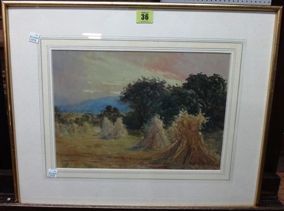 harvest-field