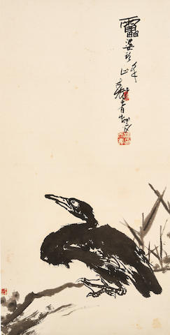 perching-duck