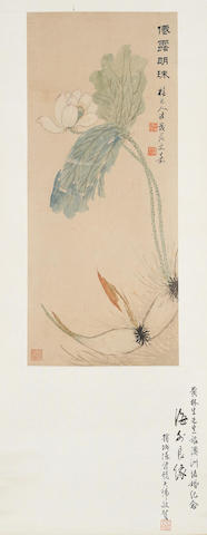 lotus
