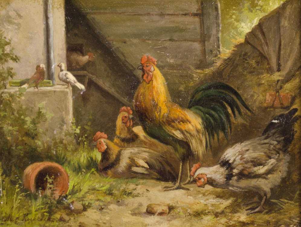 barnyard-chickens