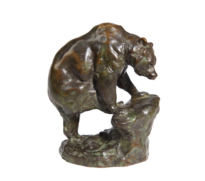 bear