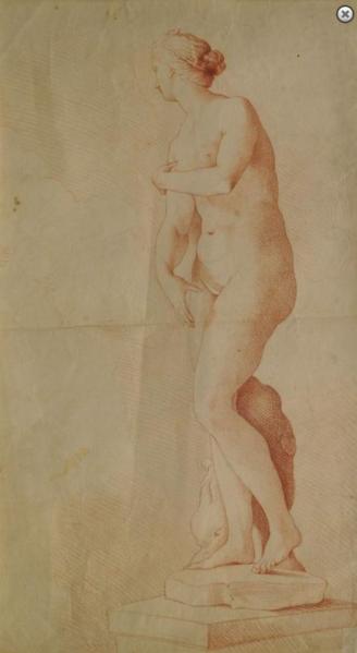 the-medici-venus