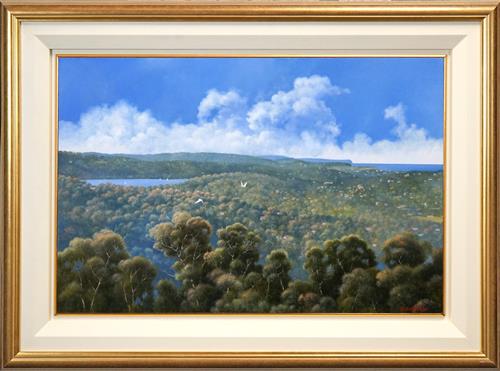 looking-north-over-narrabeen-lake