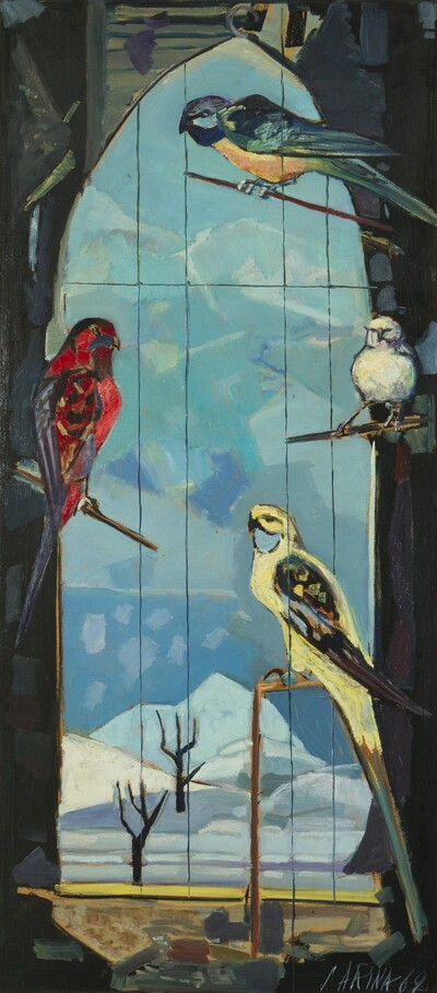 parrots