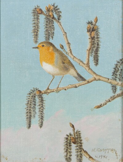 european-robin-on-branch