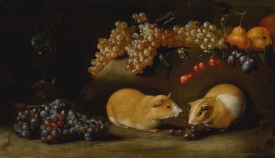 still-life-of-grapes-and-other-fruit-with-two-guinea-pigs-beside-a-rocky-ledge