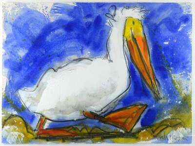 a-pelican