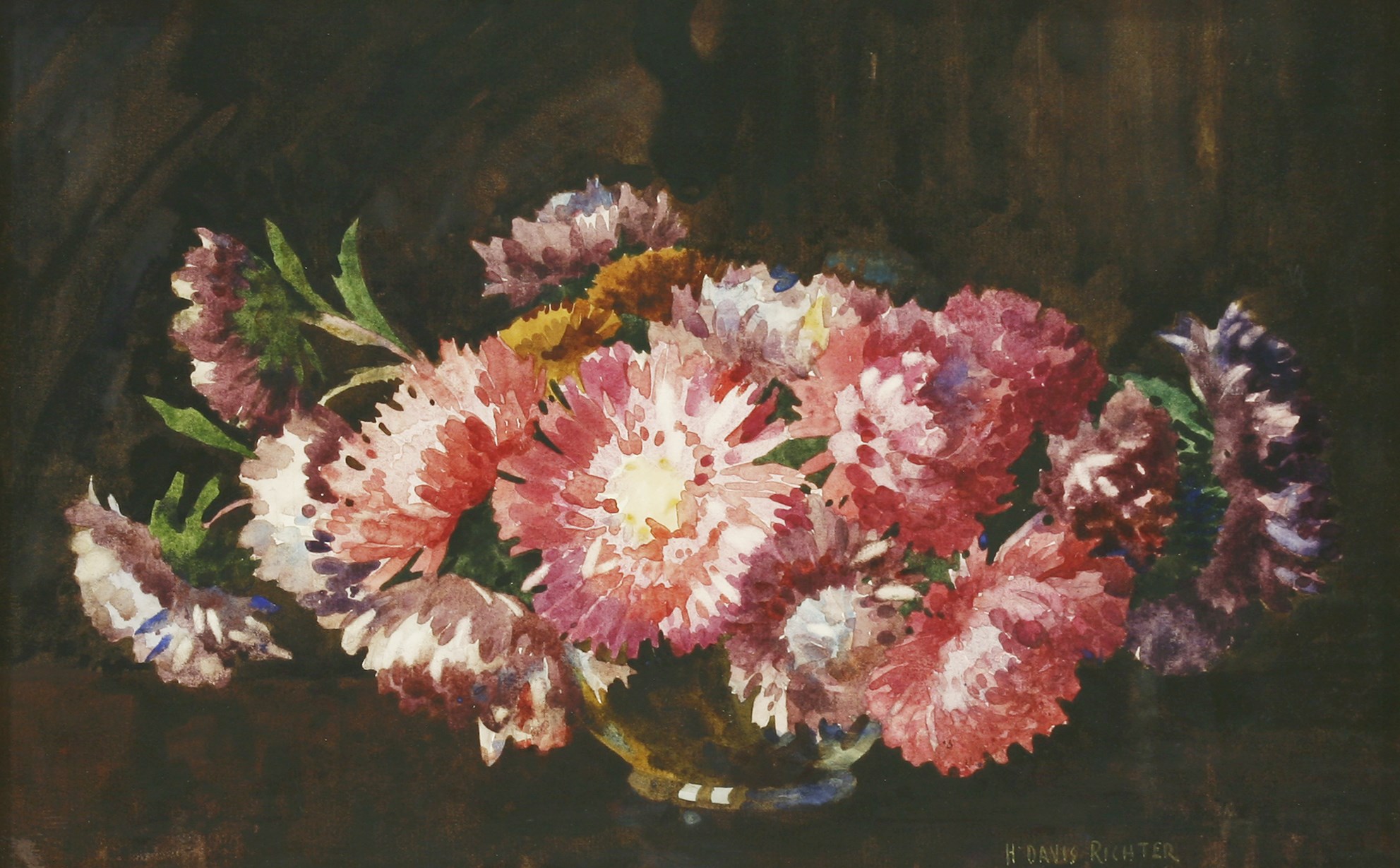 asters