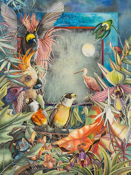 variety-of-birds