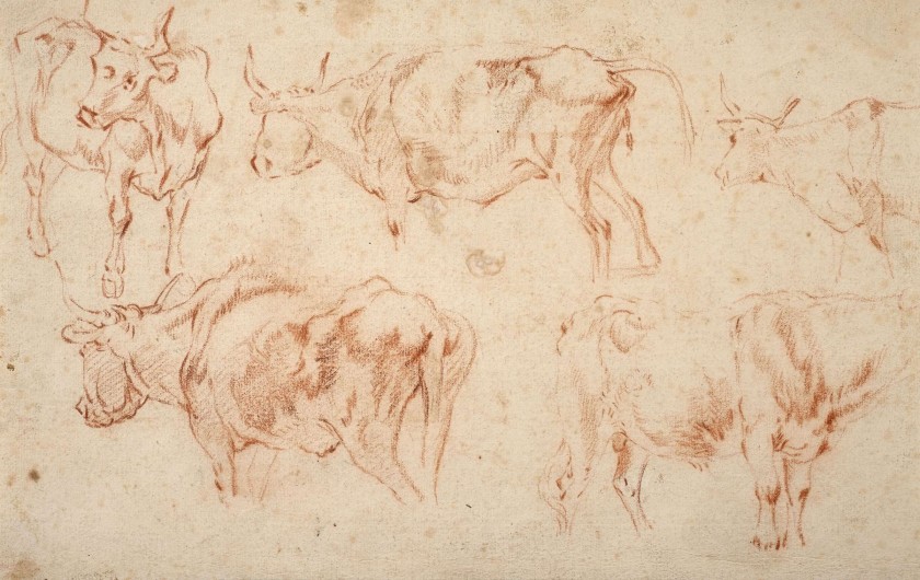 etude-de-vaches