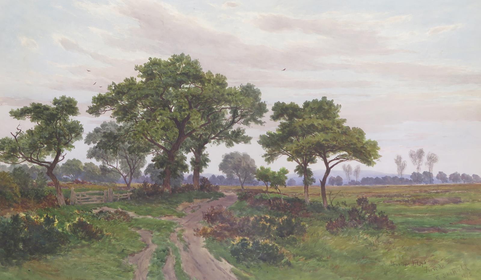 extensive-wooded-landscape