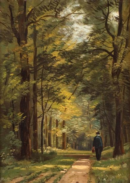 promeneur-dans-le-sous-bois