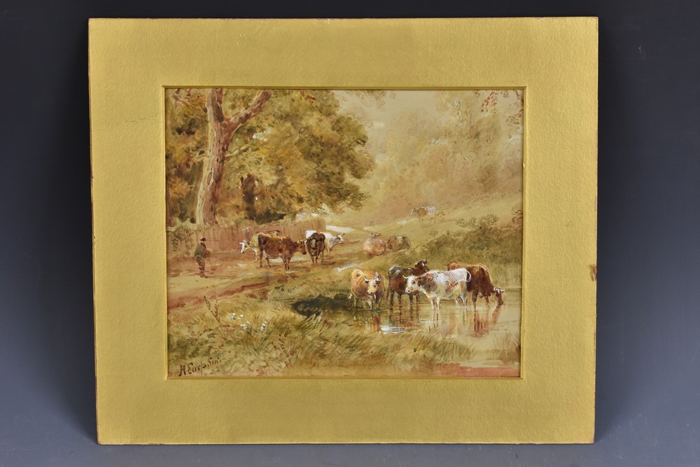 cattle-watering