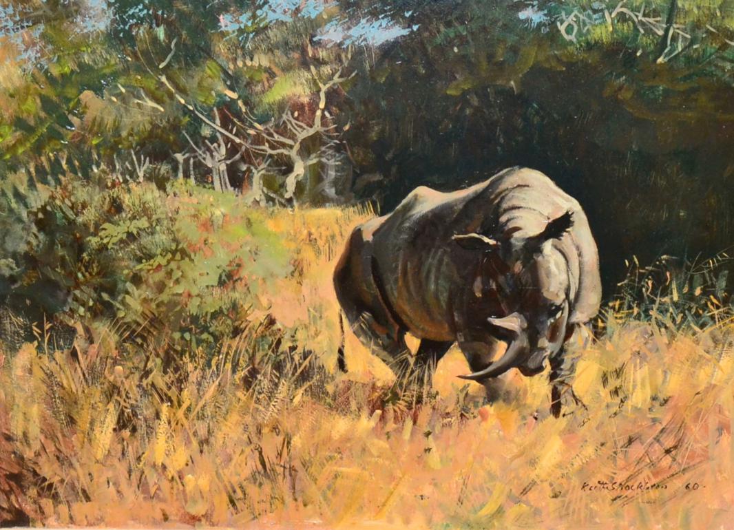 black-rhino-in-the-bush