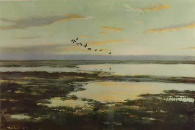 only-sixteen-geese-left-the-shore-that-morning