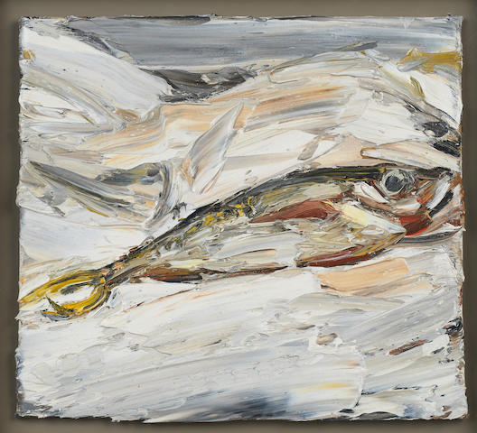 yellowtail