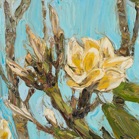 frangipani-i