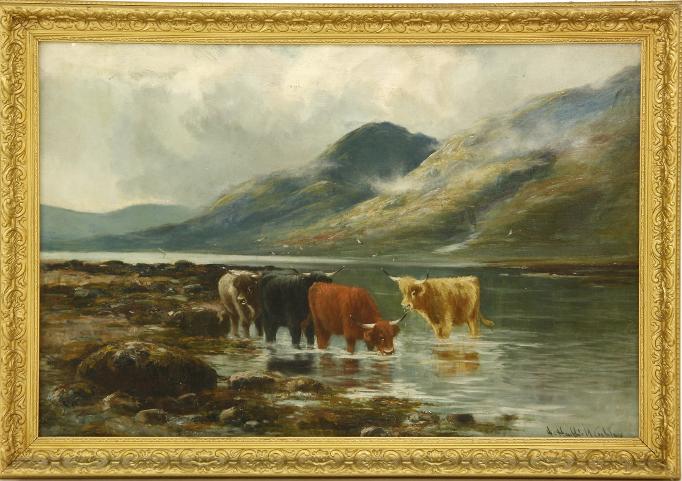 cattle-in-a-river