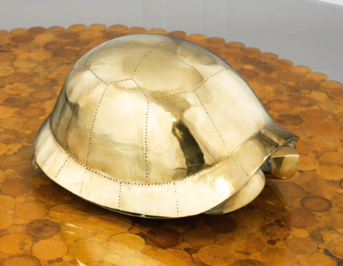 tortue