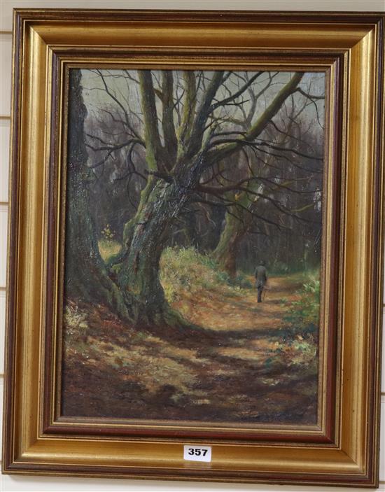 figure-of-a-gentleman-walking-along-a-wooded-track