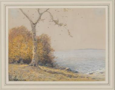 shoreline