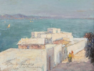 view-at-a-larger-lake-with-ships-on-the-sea
