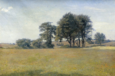 sommerliche-wiesenlandschaft
