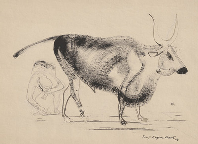 zebu-mit-sich-buckender-frau