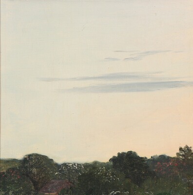 summer-skies-over-the-treetops