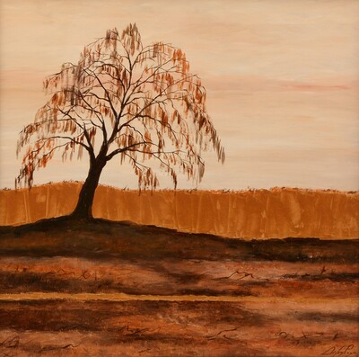 beauty-of-willow