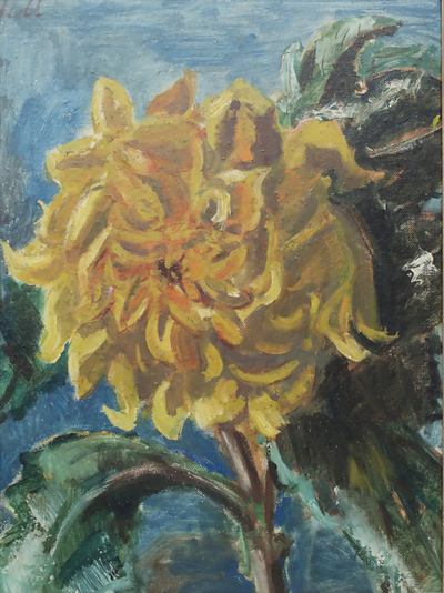 a-sunflower